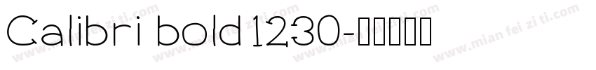 Calibri bold1230字体转换
